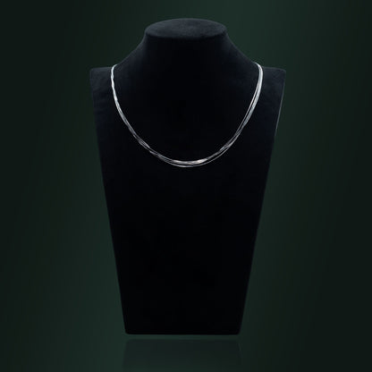 Radiant Silver Rope Chain