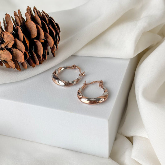 Twisted Hoops Irish Earring